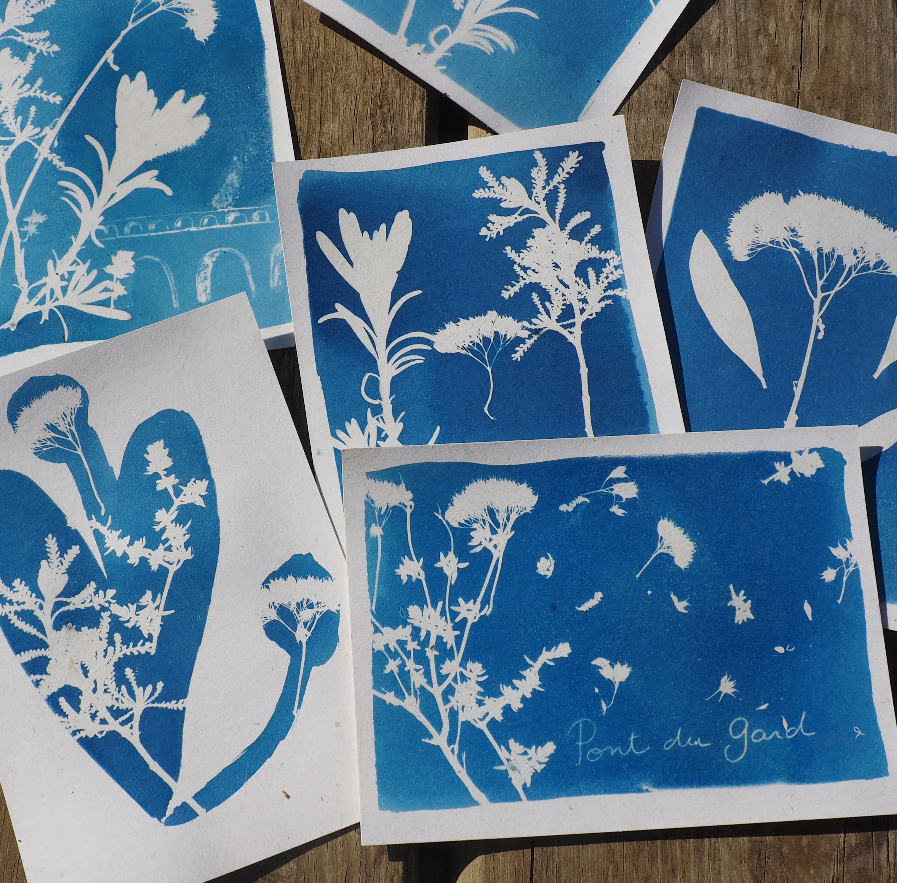 Cyanotype,